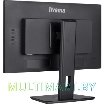 Монитор Iiyama ProLite XUB2492HSU-B6 картинка 10